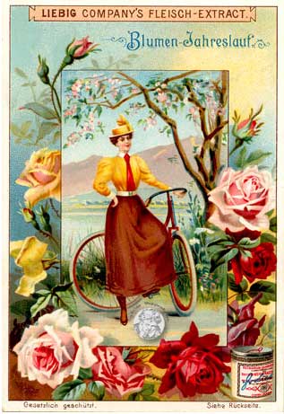 Liebig-Sammelbilder Serie Blumen-Jahreslauf - aus meiner Sammlung