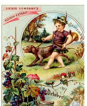 Liebig-Sammelbilder Serie Jahresreigen von 1894 - aus meiner Sammlung