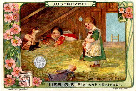 Liebig-Serie Nr. 597, Jugendzeit - aus meiner Sammlung