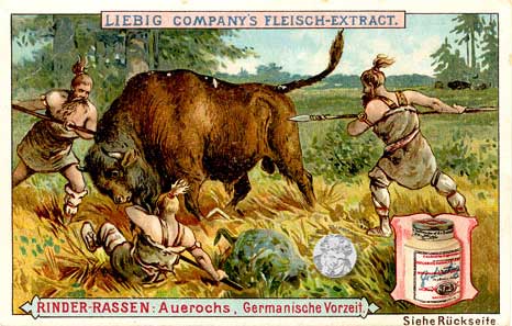 Liebig-Serie Nr. 377 Rinder-Rassen