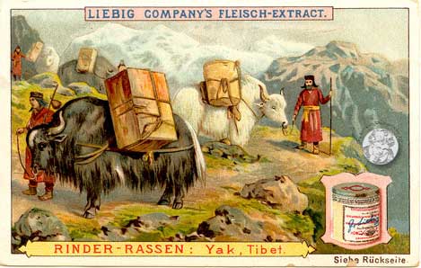 Liebig-Serie Nr. 377 Rinder-Rassen