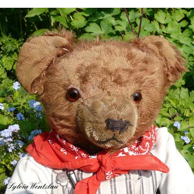 Mein Teddy Max - © Foto Sylvia Wentzlau