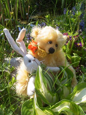 Patsy von Anke Bünger - © Foto Sylvia Wentzlau