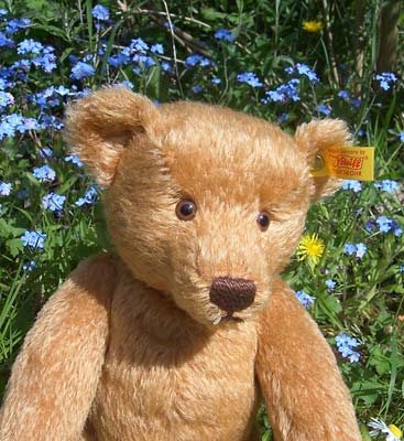 Sir Edward Firma Steiff - © Foto Sylvia Wentzlau