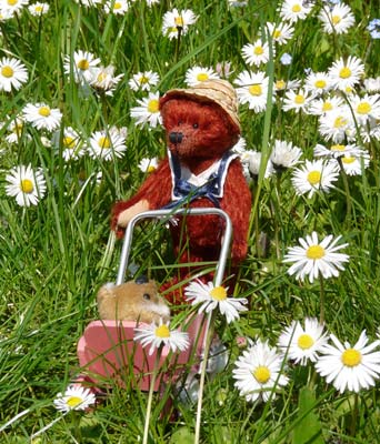 Miniaturbär von Unkel-Schäufelin- © Foto Sylvia Wentzlau