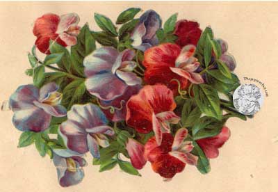 antikes Poesielalbum von 1909 - 1915