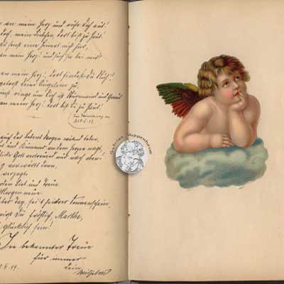 antikes Poesielalbum von 1879 - 1889