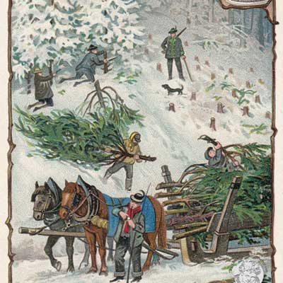 Geschichte vom Weihnachtsbaum, Serie 499/656, 1901