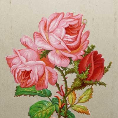 antikes Poesielalbum ab 1878