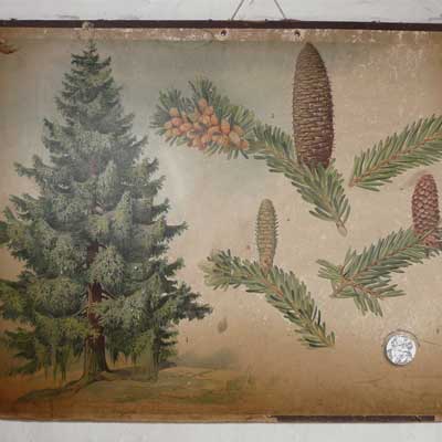 Ausstellung zur Schulgeschichte, Dorfschule Schloss Blankenhain