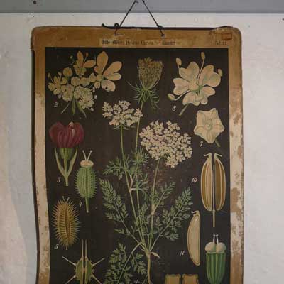 Ausstellung zur Schulgeschichte, Dorfschule Schloss Blankenhain