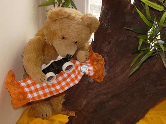 Im Schloss, da sind die Bären los