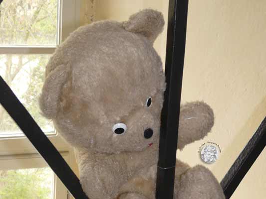 Im Schloss, da sind die Bären los