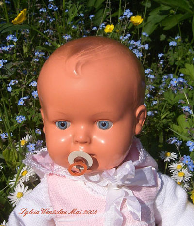 mein Schildkröt Strampelchen