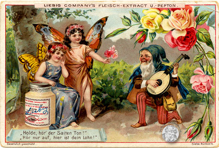 Liebig-Serie Nr. 465